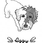 Iggy