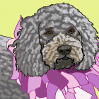 Kona