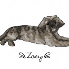 Zoey